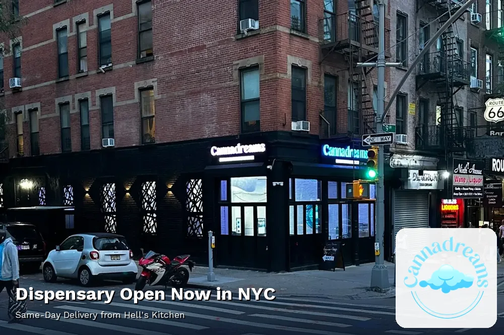 The real Cannadreams storefront at 862 9th Ave and W 56th St, Hell's Kitchen, lit up at dusk and open