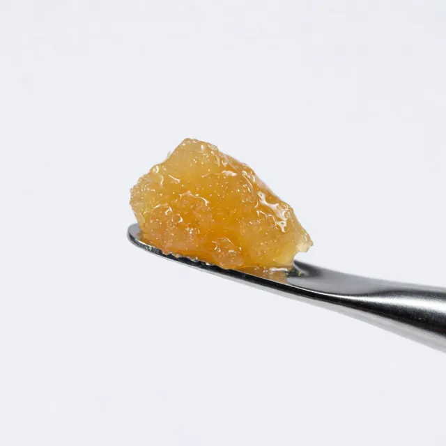 Golden cannabis live resin concentrate on a stainless dab tool against a white background