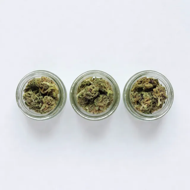 Indica, sativa, and hybrid cannabis flower in jars at a Manhattan dispensary