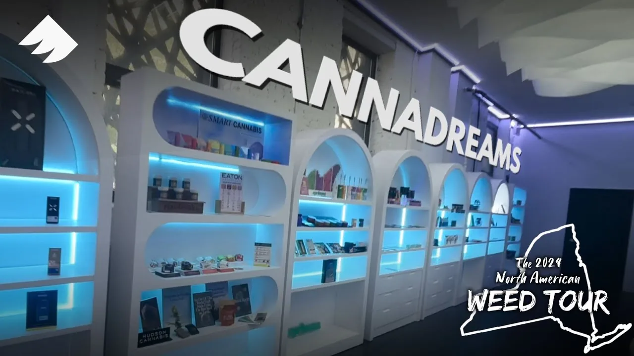 Illuminated product shelves and the Cannadreams sign inside the Hell's Kitchen dispensary